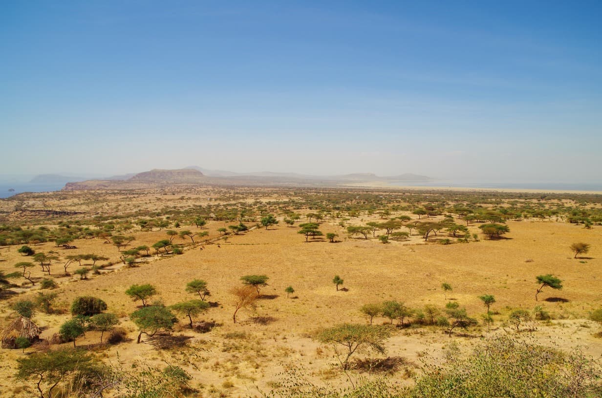 Abijatta National Park