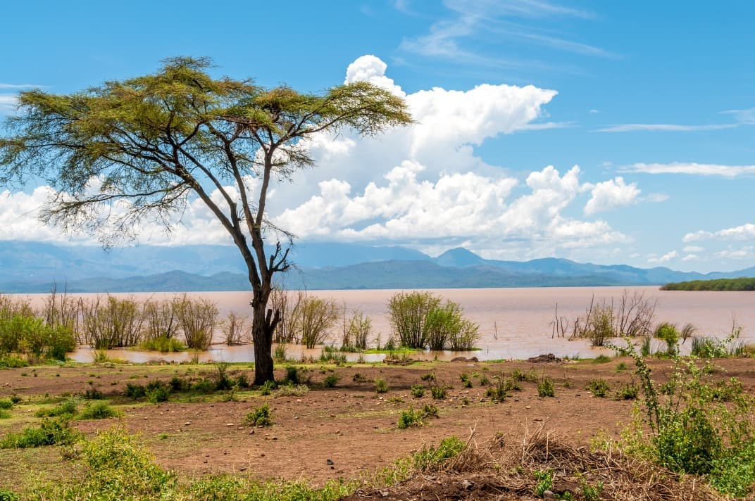 lake abaya near arba minch